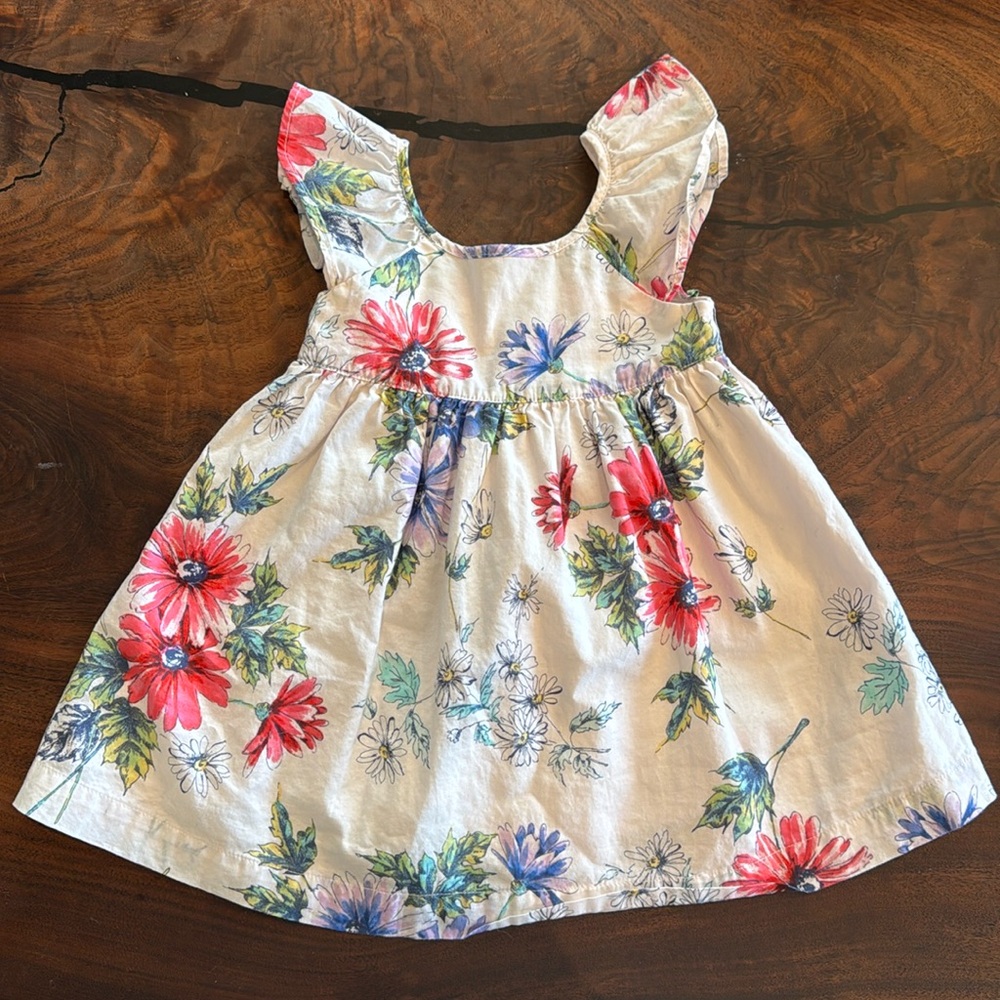 Floral dress 12-18 baby gap